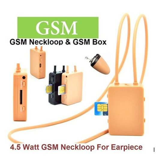 4Watt GSM Neckloop and GSM Box