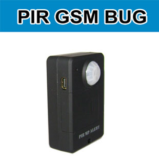 GSM Bug with PIR Function